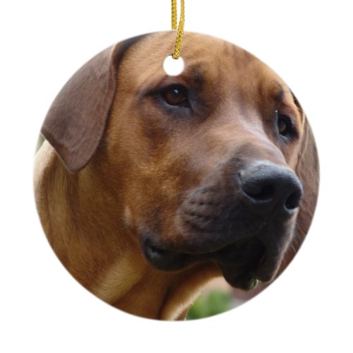 Rhodesian Ridgeback Ornament