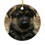 Shepherd Puppy  Ornament