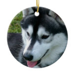 Siberian Husky Ornament