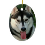 Sled Dog Ornament