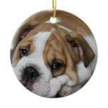 Sleeping Bulldog Ornament