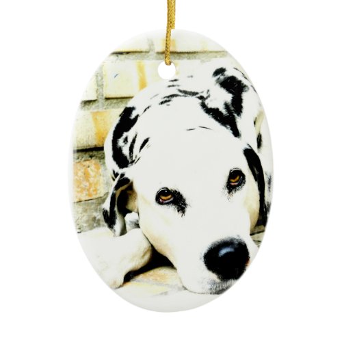 Sleeping Dalmatian Ornaments