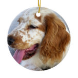 Springer Spaniel Puppy Ornament