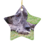 Sweet Great Dane Ornament