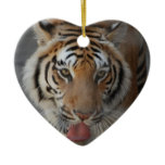 Tiger Kisses Ornament