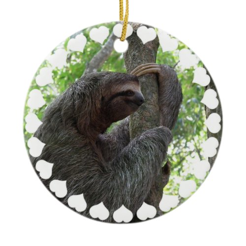 Tree Climbing Sloth Ornament