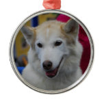 White Husky Ornaments